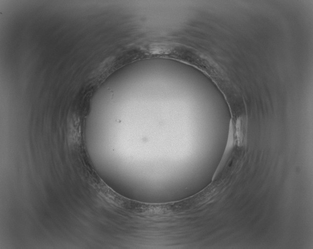 X0000083531443200702240005