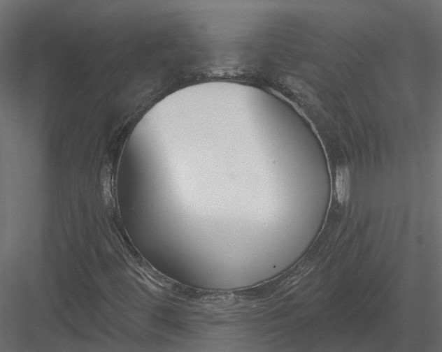 X0000083531444200702240005