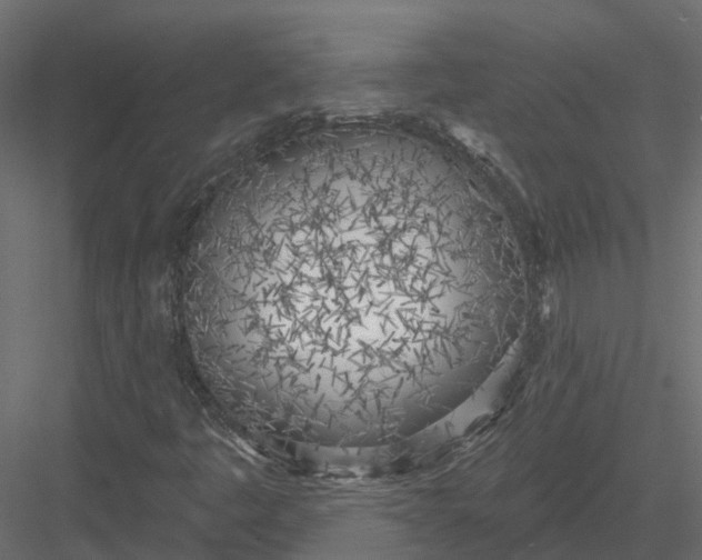 X0000083531445200702240005