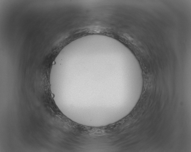 X0000083531446200702240005