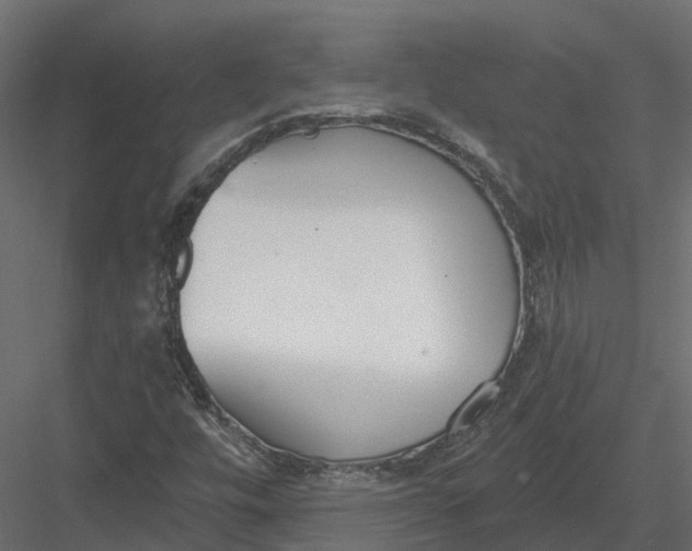 X0000083531448200702240005