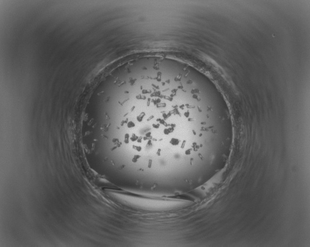 X0000083531449200702240005