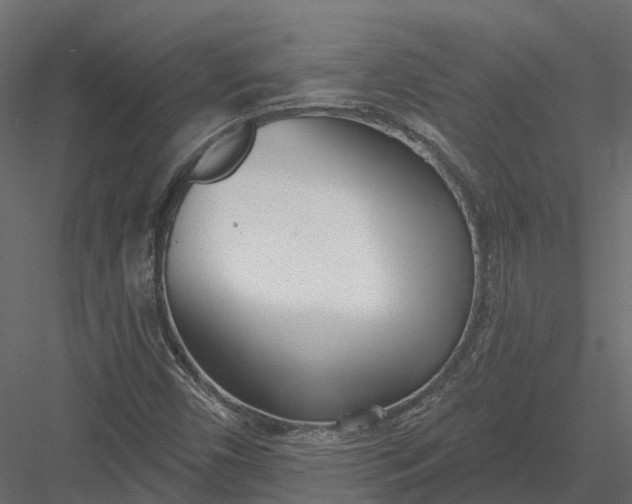 X0000083531450200702240005