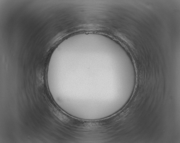 X0000083531451200702240005