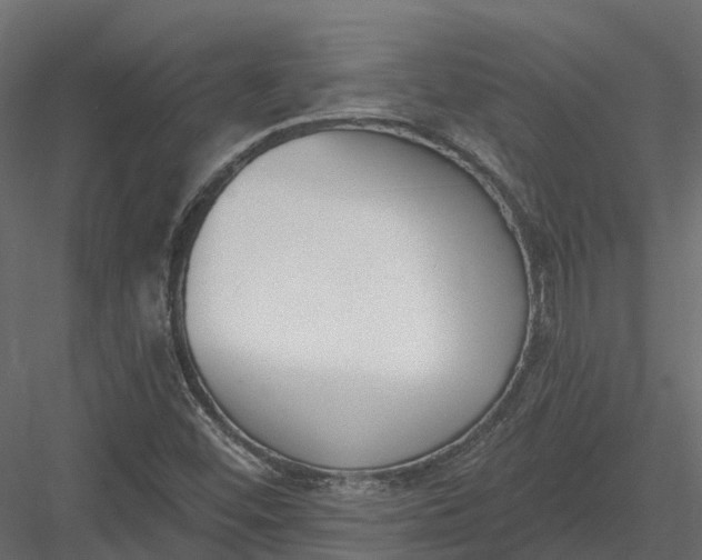 X0000083531452200702240005