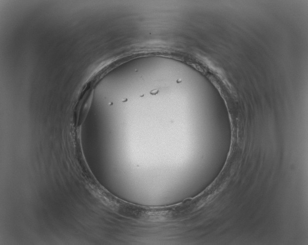 X0000083531453200702240005