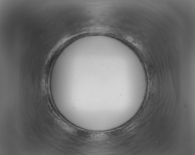 X0000083531454200702240005