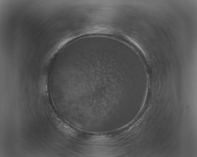 X0000083531455200702240005