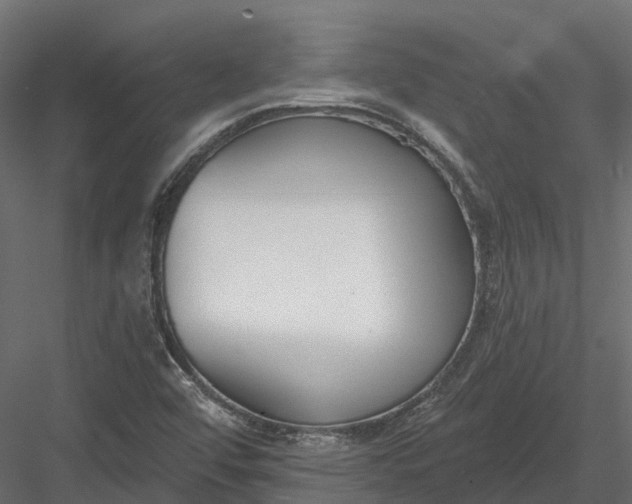 X0000083531456200702240005