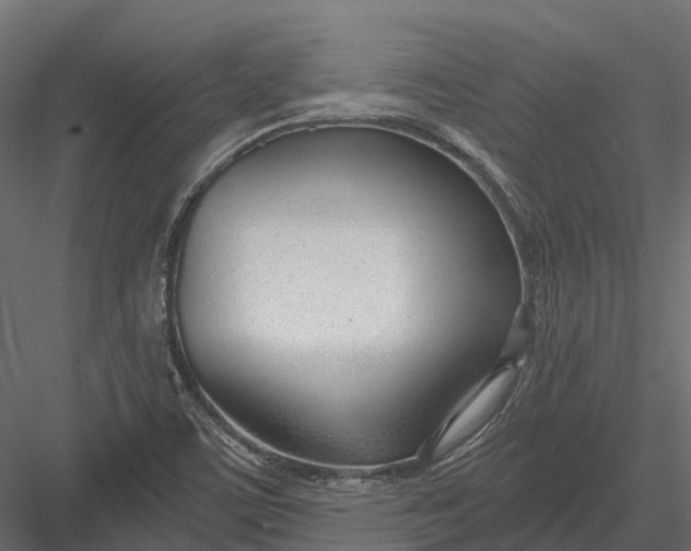 X0000083531459200702240005