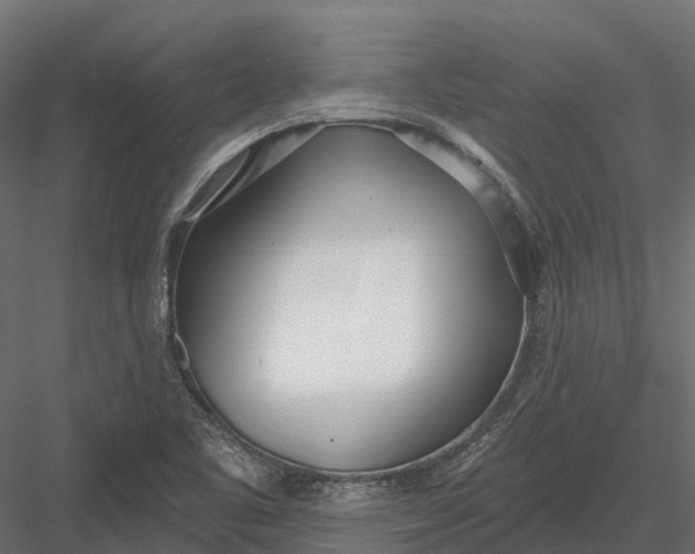 X0000083531461200702240005