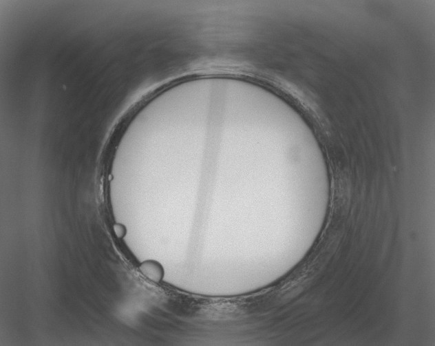 X0000083531462200702240005