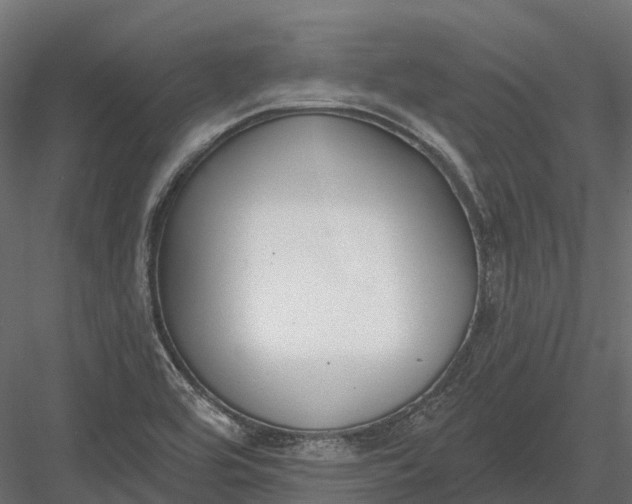 X0000083531464200702240005