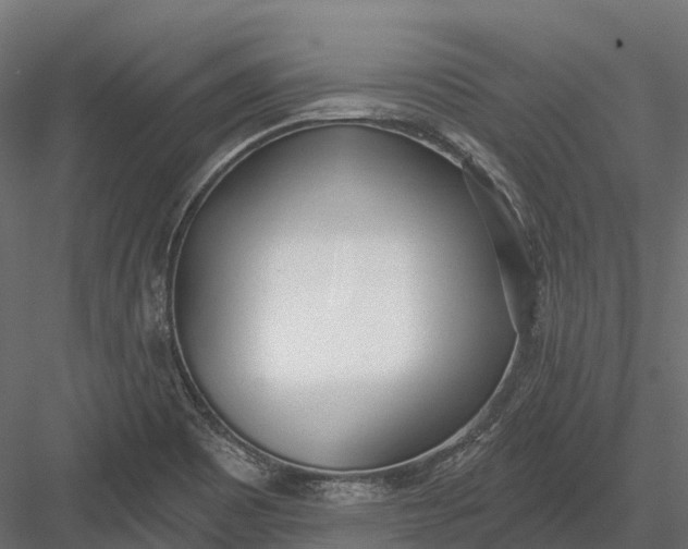 X0000083531465200702240005