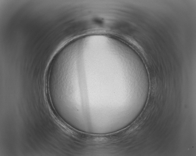 X0000083531467200702240005