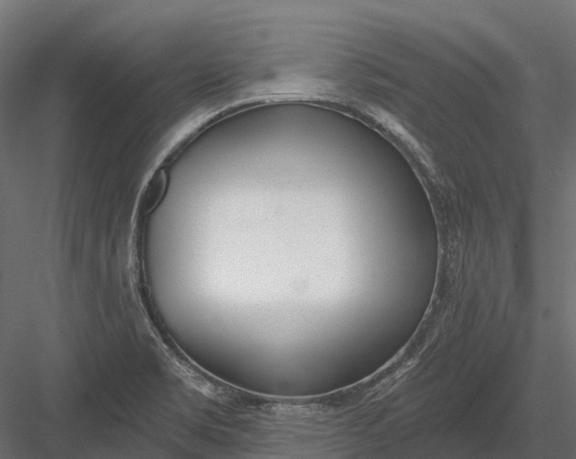 X0000083531469200702240005