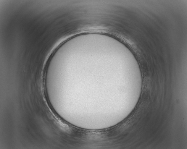 X0000083531470200702240005