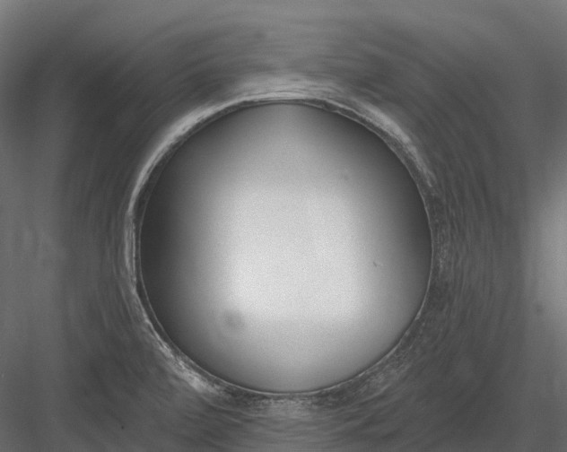 X0000083531472200702240005