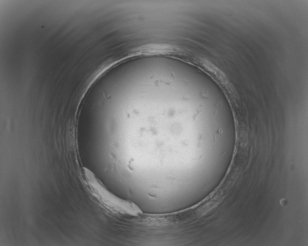 X0000083531473200702240005