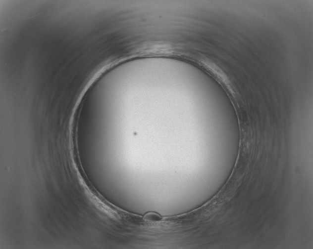 X0000083531475200702240005