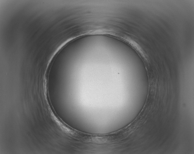 X0000083531476200702240005