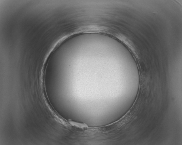 X0000083531477200702240005