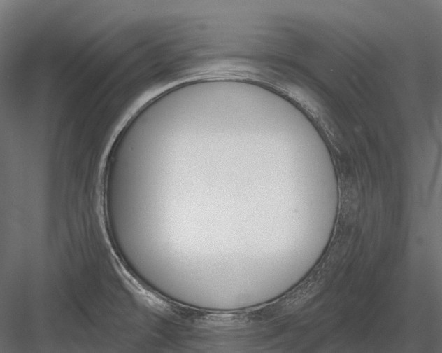 X0000083531478200702240005