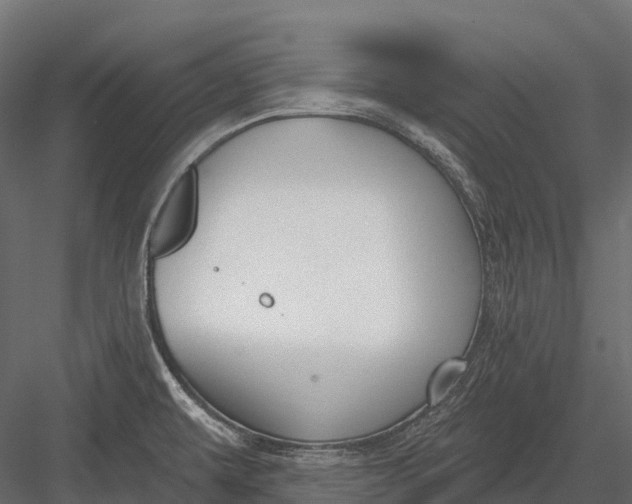 X0000083531479200702240005