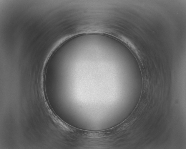 X0000083531480200702240005