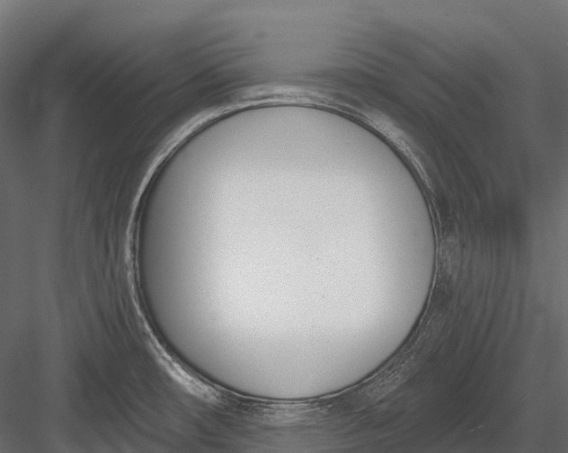 X0000083531482200702240005