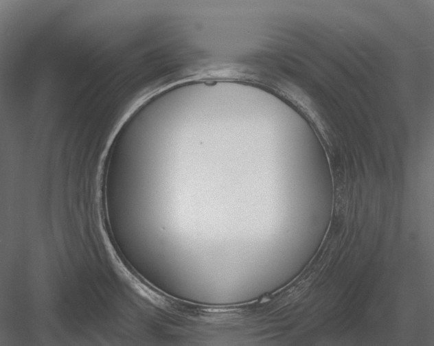 X0000083531483200702240005