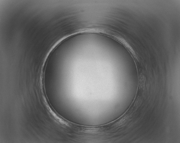 X0000083531484200702240005