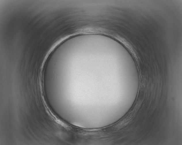 X0000083531486200702240005