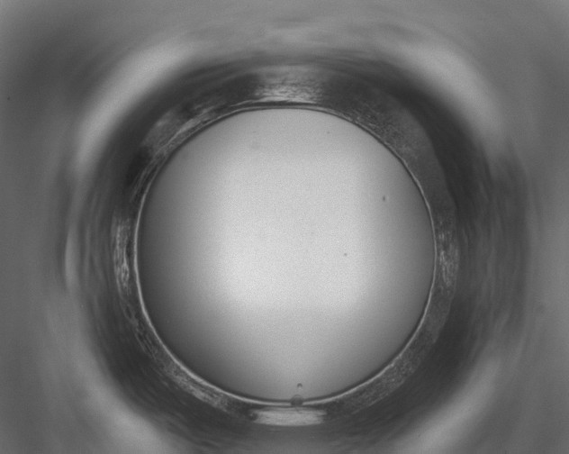 X0000083531487200702240005