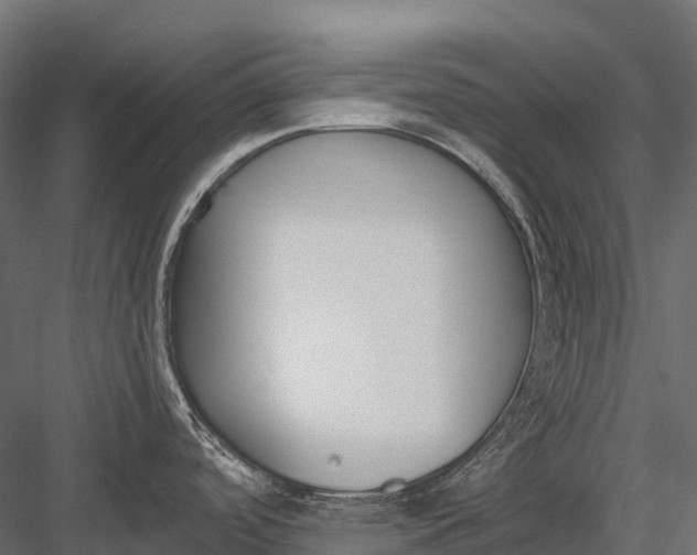 X0000083531488200702240005