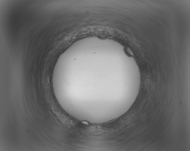 X0000083531489200702240004