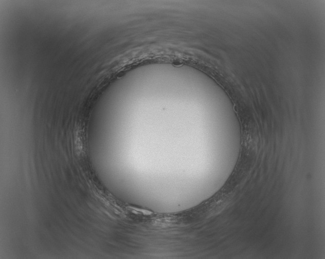 X0000083531490200702240004