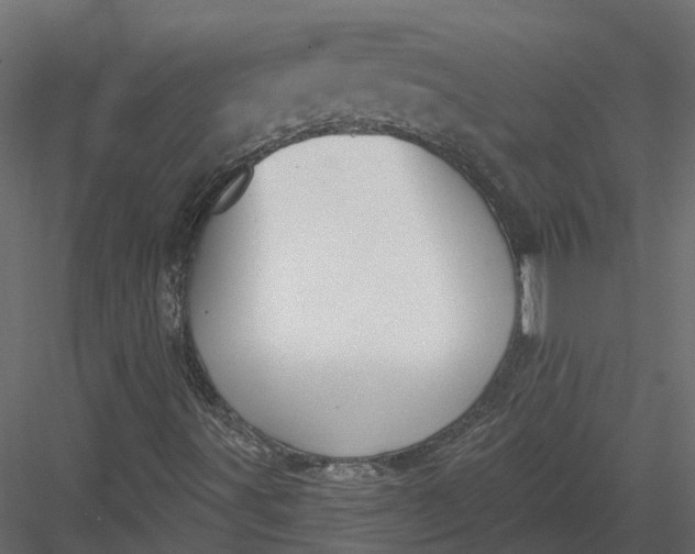 X0000083531491200702240004