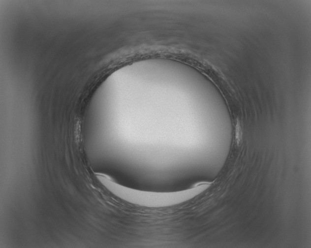 X0000083531492200702240004