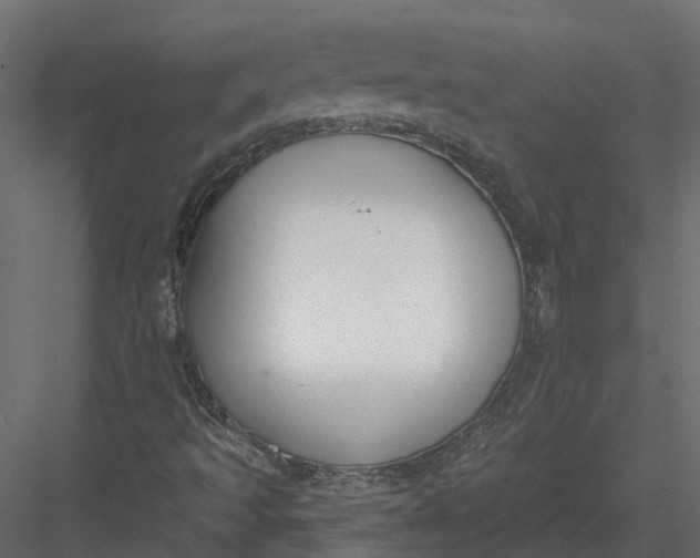 X0000083531493200702240004