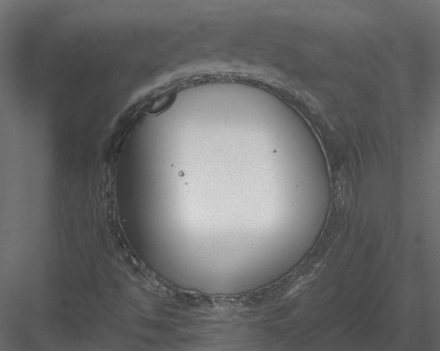 X0000083531494200702240004