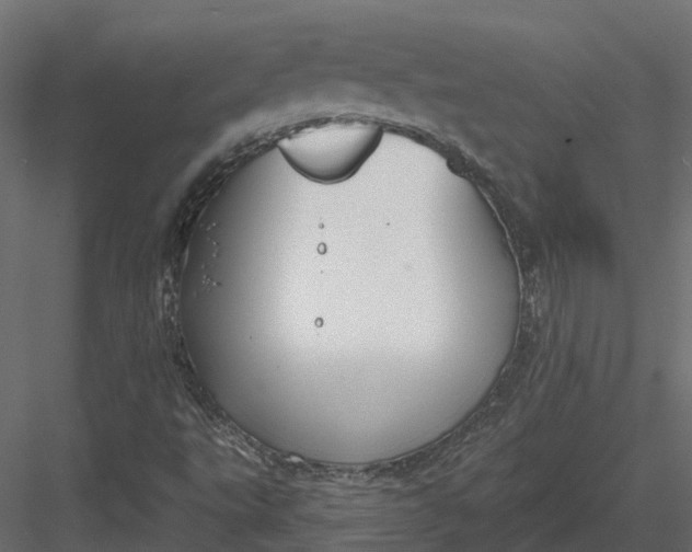 X0000083531495200702240004