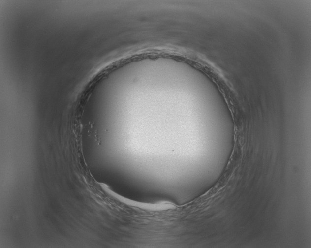 X0000083531496200702240004