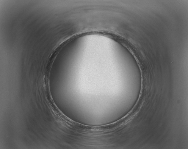 X0000083531497200702240004