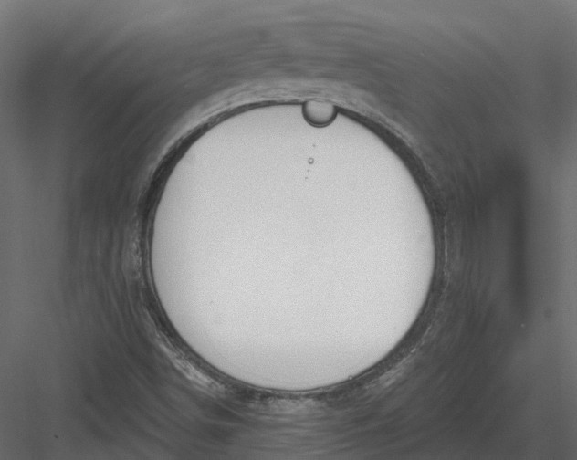 X0000083531498200702240004