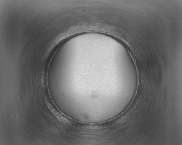 X0000083531499200702240004