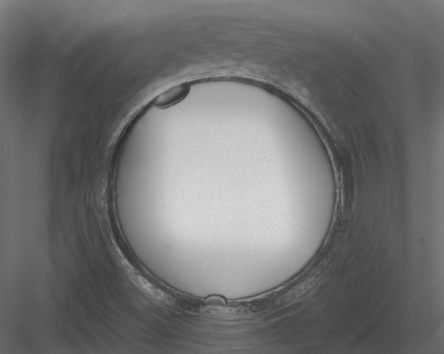 X0000083531500200702240004