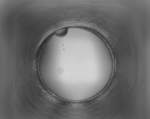 X0000083531501200702240004