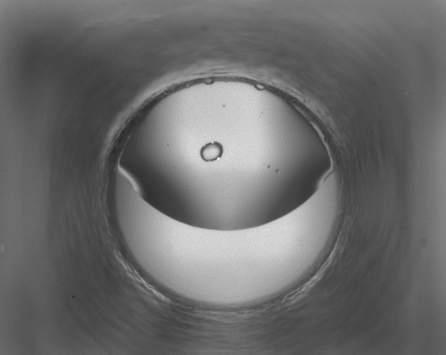 X0000083531502200702240004