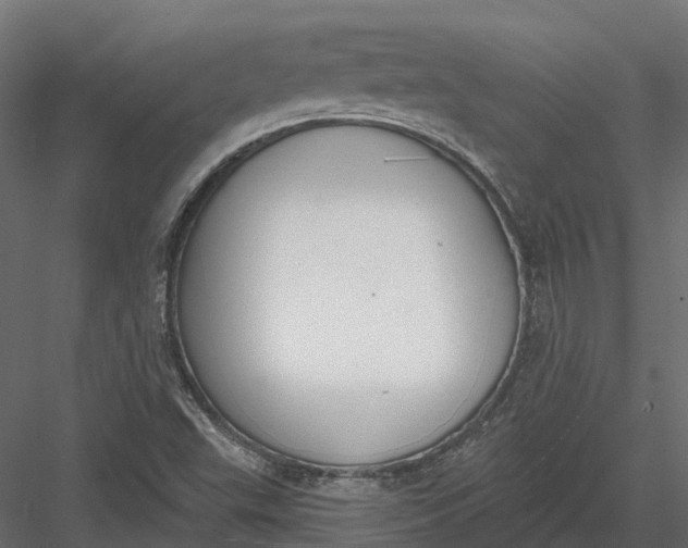 X0000083531503200702240004